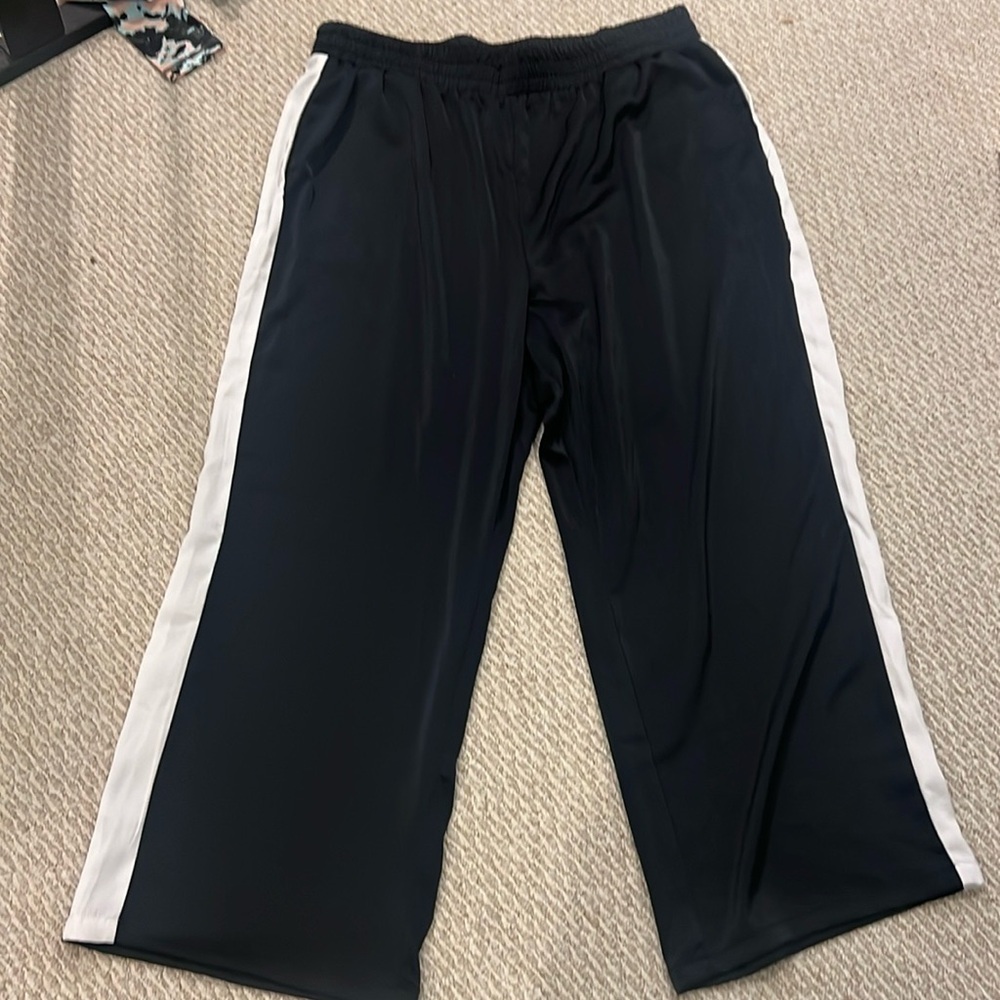 Nina Parker pants 3x